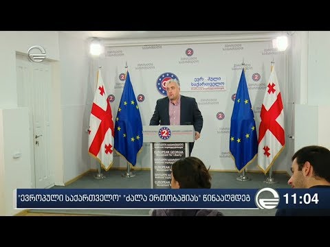 „ევროპული საქართველო“ თაკო ჩარკვიანის წინააღმდეგ